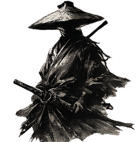 Ronin System